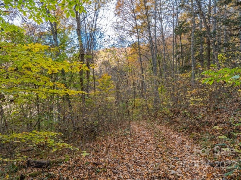 000 Drake Cove Rd, Mars Hill, NC 28754