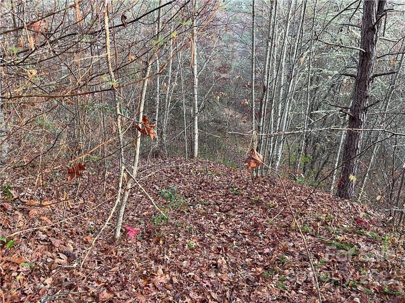 Lot 43 Kimiko Ln, Balsam Grove, NC 28708