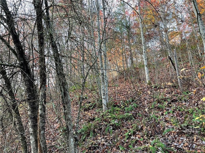 Lot 43 Kimiko Ln, Balsam Grove, NC 28708