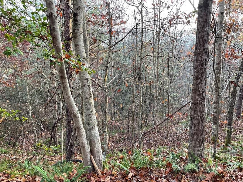 Lot 43 Kimiko Ln, Balsam Grove, NC 28708