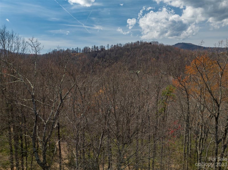 187 Arcadia Falls Way #77, Black Mountain, NC 28711