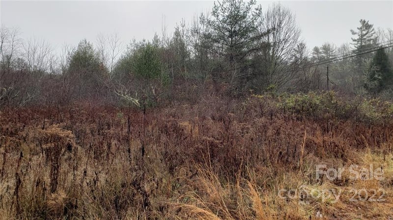 000 Greenville Hw, Brevard, NC 28712