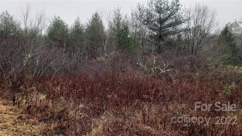 000 Greenville Hw, Brevard, NC 28712