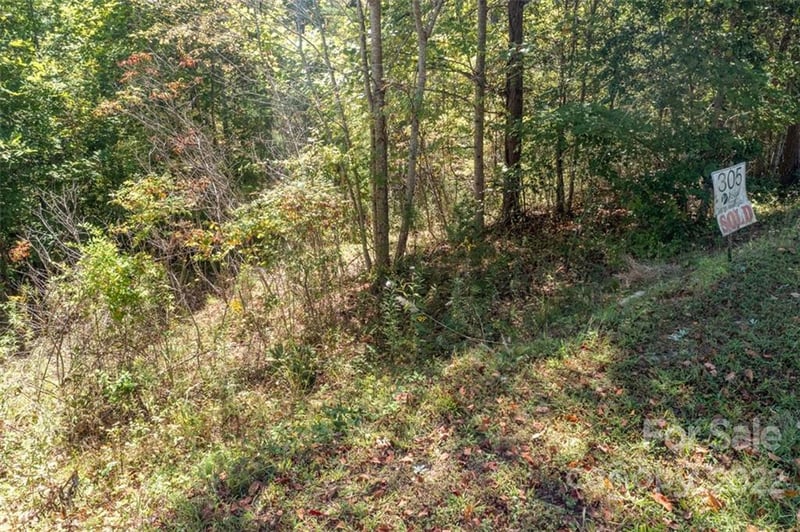 00 Rock Ledge Dr #305, Lake Lure, NC 28746
