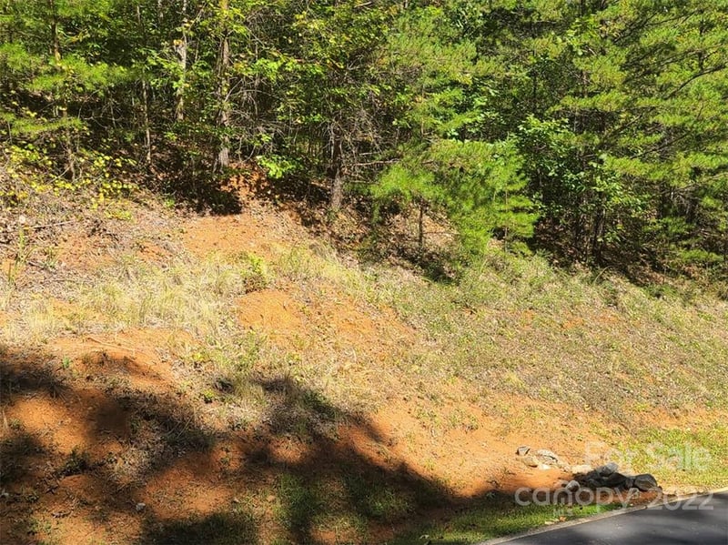 00 Rock Ledge Dr #305, Lake Lure, NC 28746