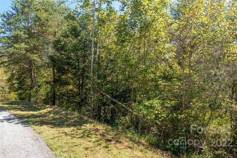 00 Rock Ledge Dr #305, Lake Lure, NC 28746