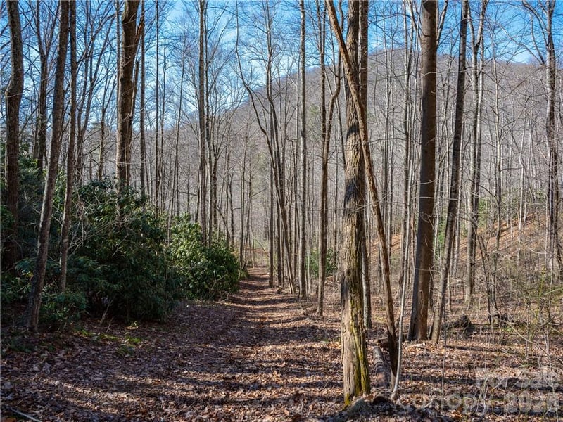 TBD Long Branch Rd, Swannanoa, NC 28778
