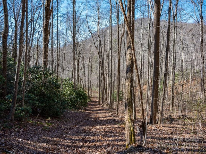 TBD Long Branch Rd, Swannanoa, NC 28778