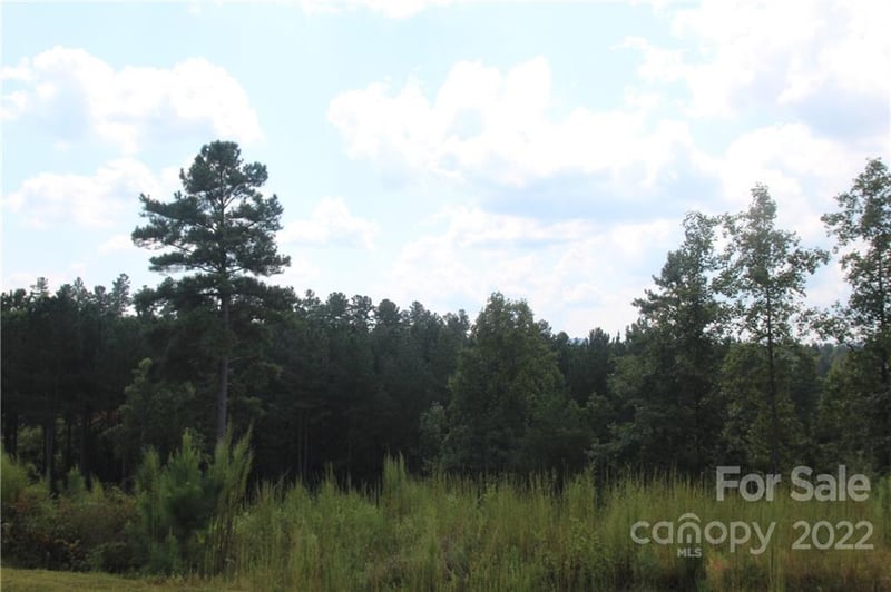 2038 - 2048 Inlet Shore Rd #24 & 25, Connelly Springs, NC 28612