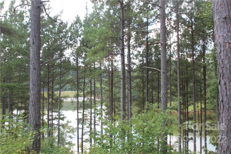 2038 - 2048 Inlet Shore Rd #24 & 25, Connelly Springs, NC 28612