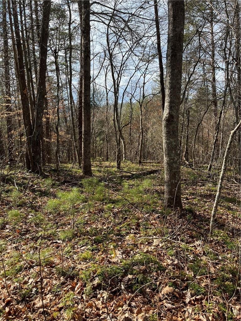 999B Sams Crossing, Mars Hill, NC 28754