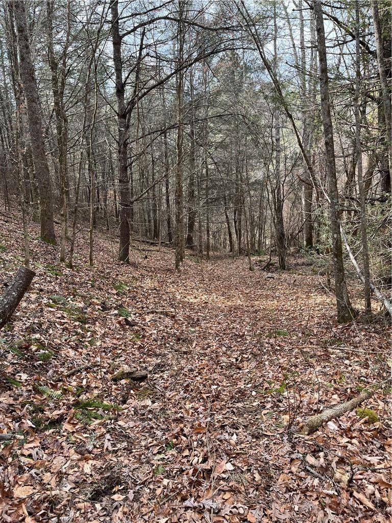 999B Sams Crossing, Mars Hill, NC 28754