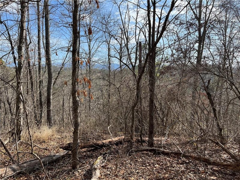 999B Sams Crossing, Mars Hill, NC 28754