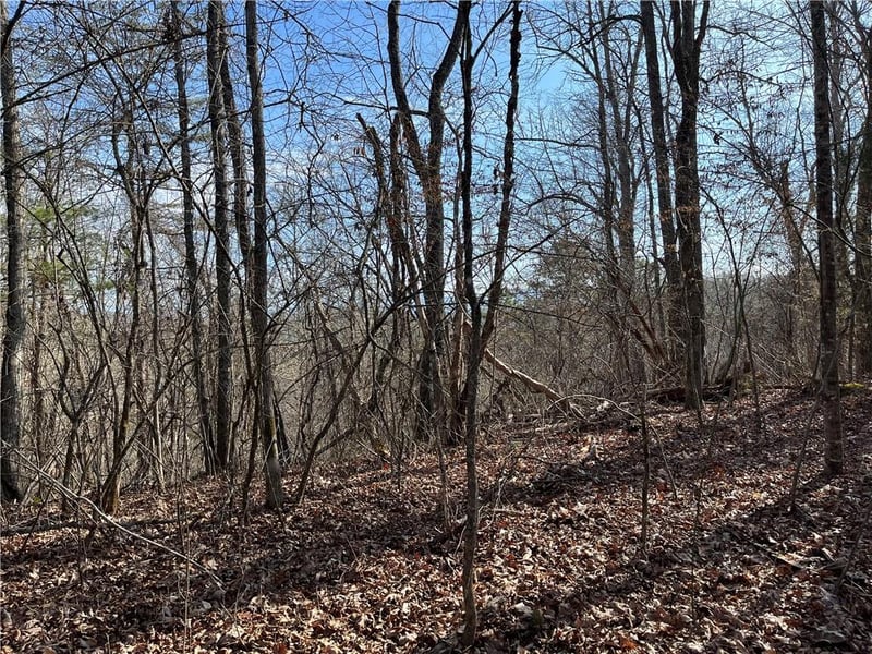 999B Sams Crossing, Mars Hill, NC 28754