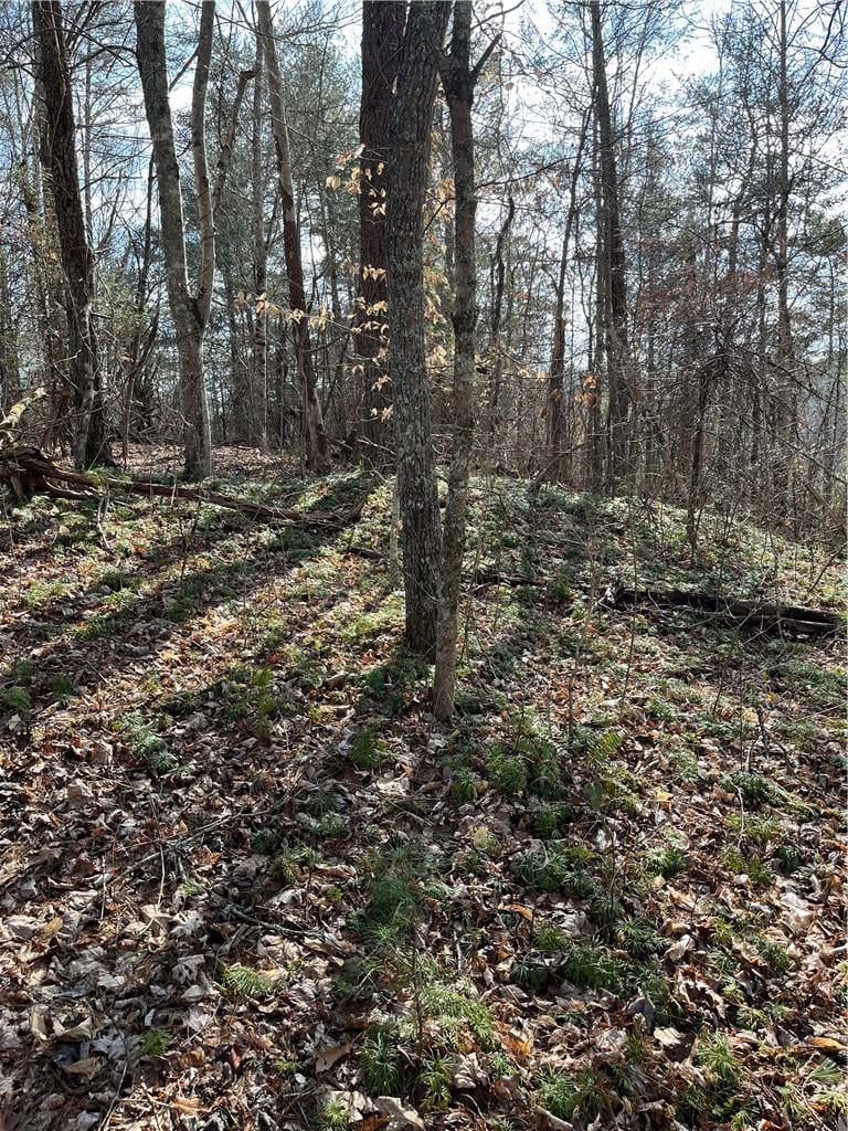 999B Sams Crossing, Mars Hill, NC 28754