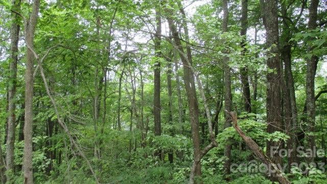 Lot 37 Deeplow Gap None, Bryson City, NC 28713