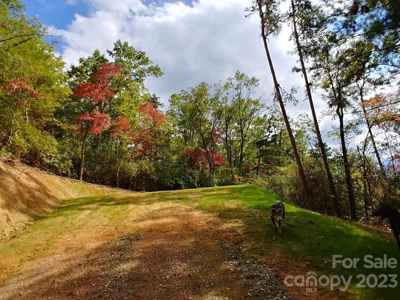 Lot 42 The Knoll None, Bryson City, NC 28713