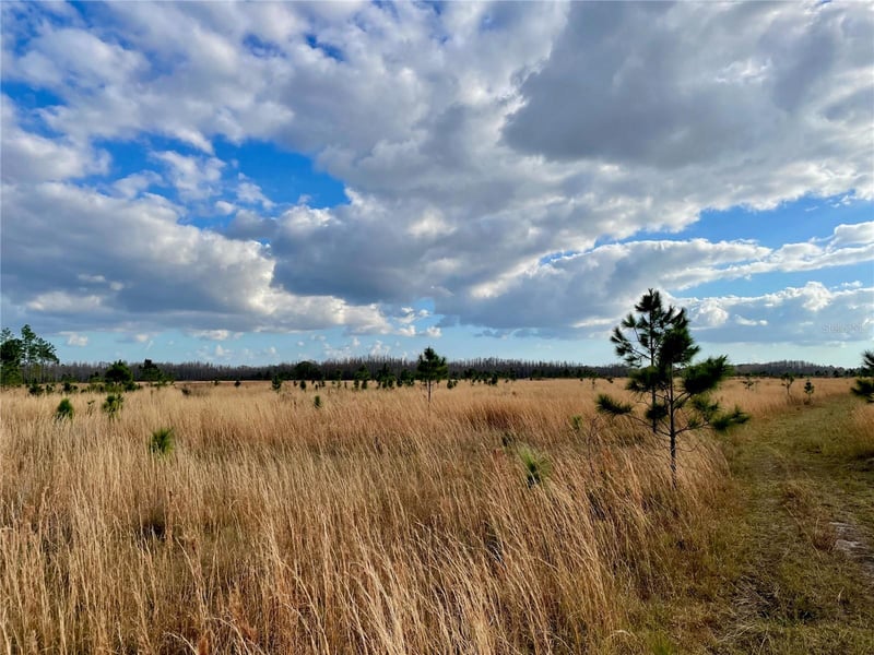 19858 State Road 52, Land O Lakes, FL 34637