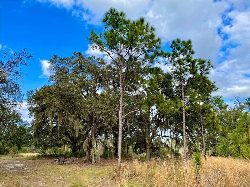 19858 State Road 52, Land O Lakes, FL 34637