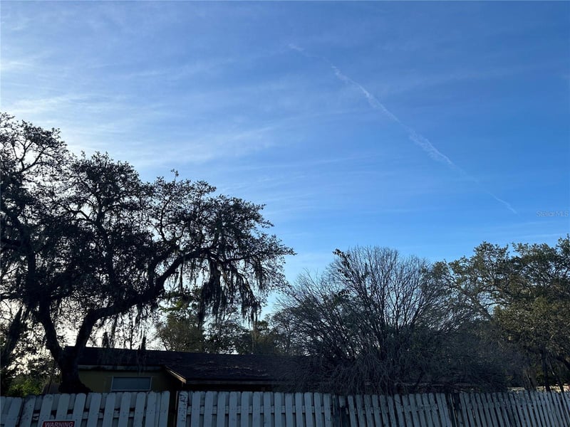 9607 Cardy St, New Port Richey, FL 34654