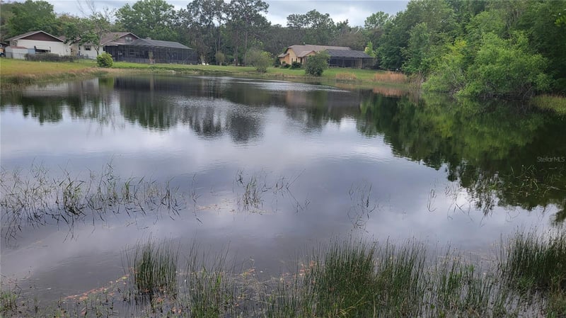 Rabbit Dr, New Port Richey, FL 34654