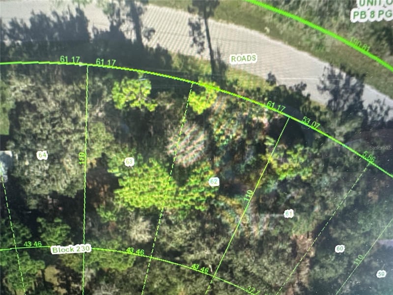Estelle , New Port Richey, FL 34654