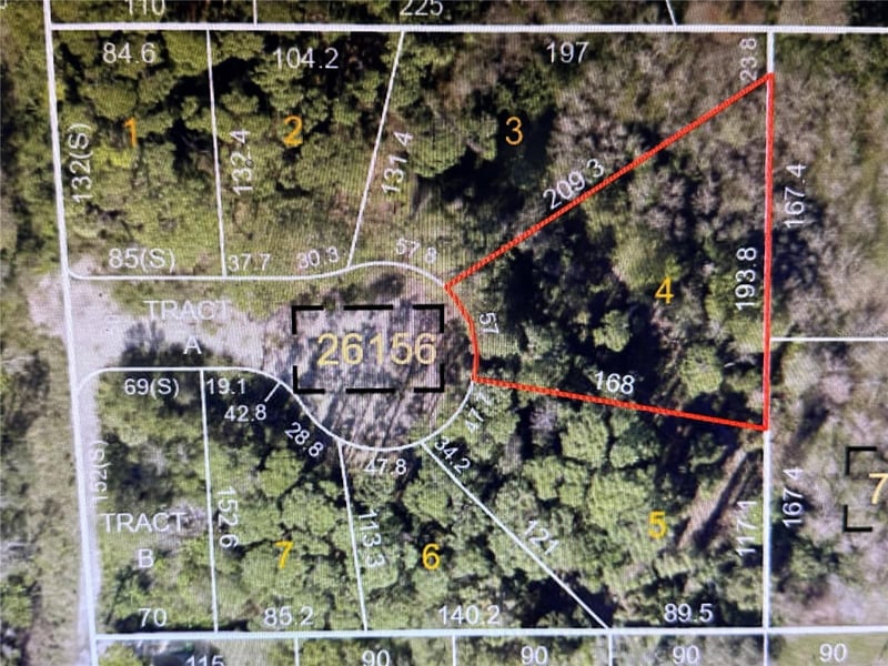 1305 Almaria Ct, Palm Harbor, FL 34683