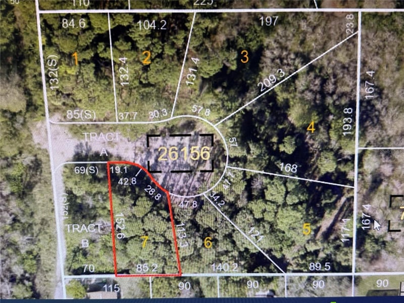 1294 Almaria Ct, Palm Harbor, FL 34683