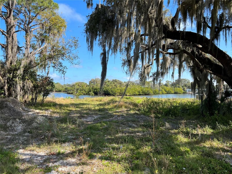 Tiberius Trl, New Port Richey, FL 34652