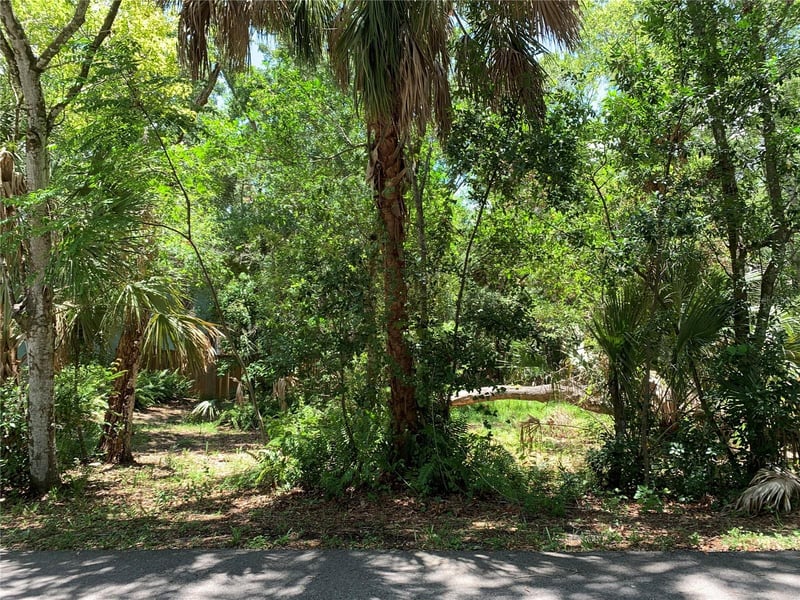 Center Ave, Tarpon Springs, FL 34689
