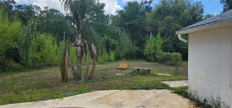 4375 Lindsey Loop, Dover, FL 33527