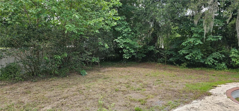 4375 Lindsey Loop, Dover, FL 33527
