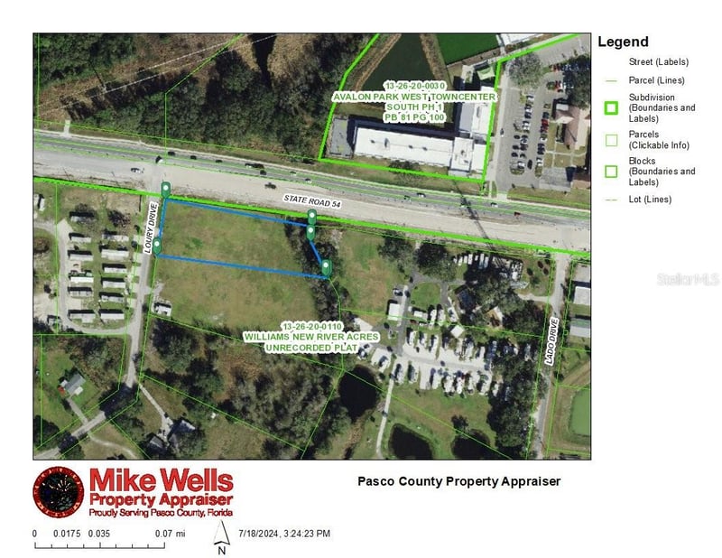 4240 Loury Dr, Wesley Chapel, FL 33543