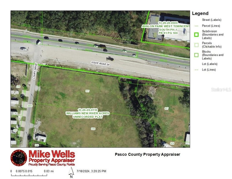 4240 Loury Dr, Wesley Chapel, FL 33543