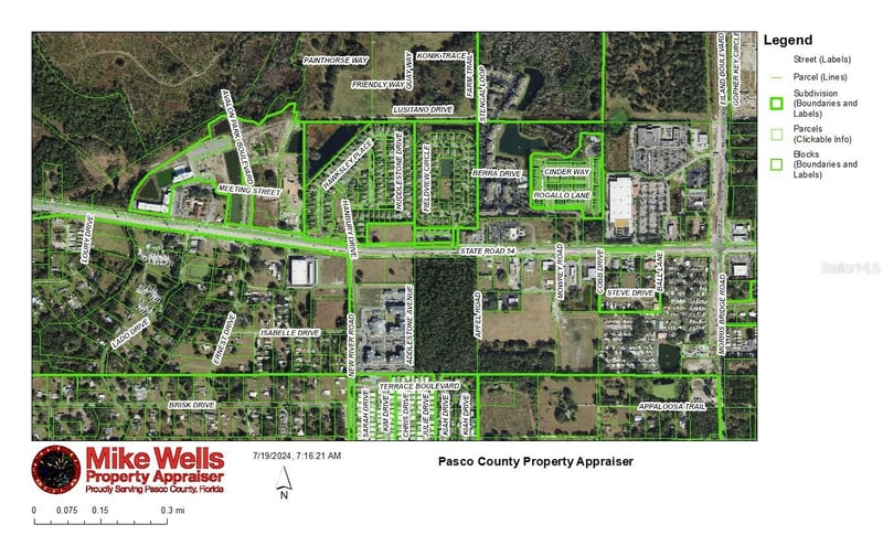 4240 Loury Dr, Wesley Chapel, FL 33543