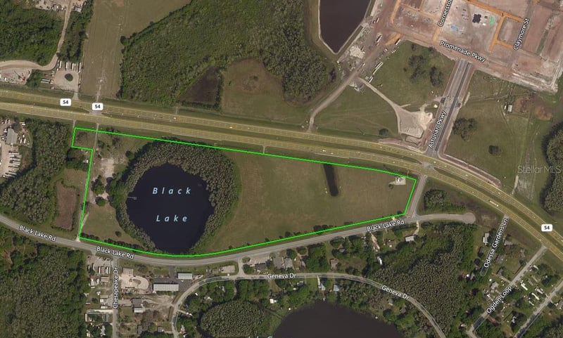14325 Black Lake Rd, Odessa, FL 33556