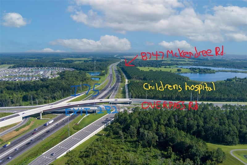 8747 Mckendree Rd, Wesley Chapel, FL 33545