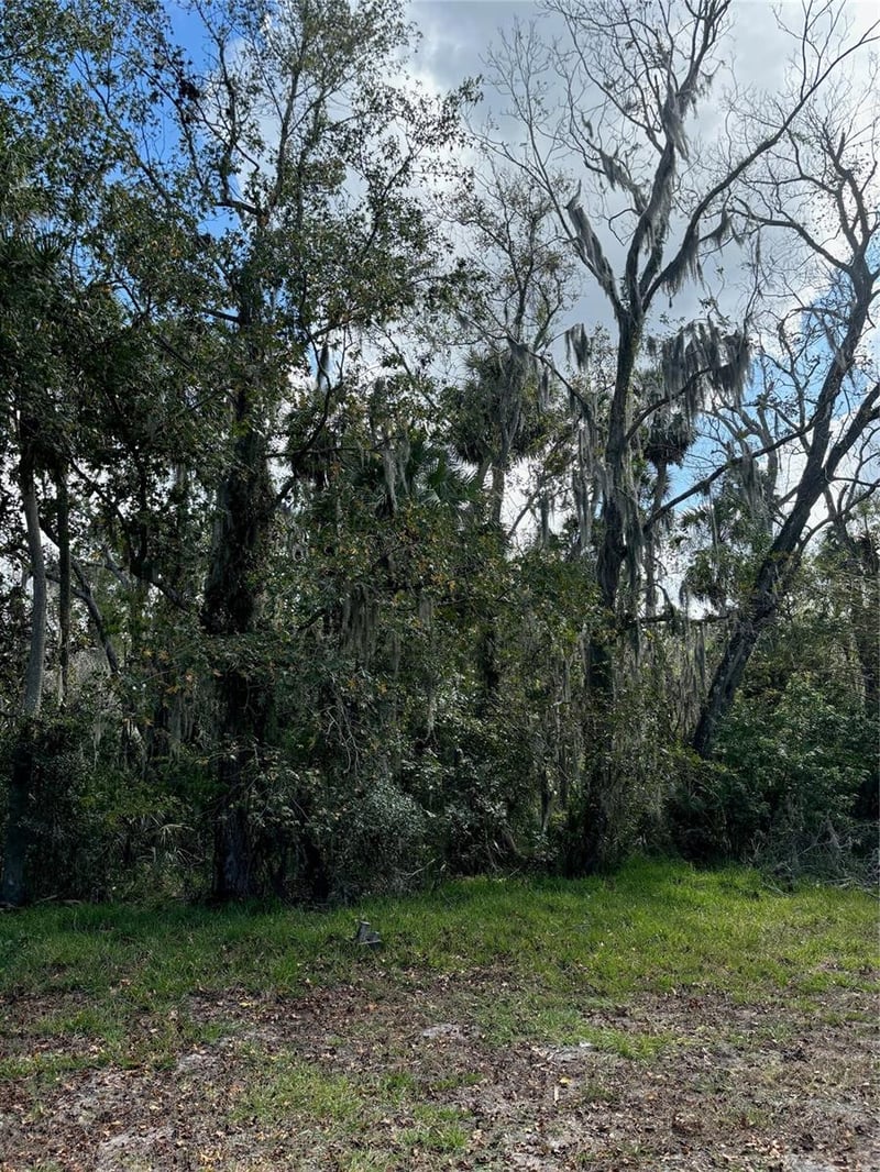 Kolb Pl, Hudson, FL 34667