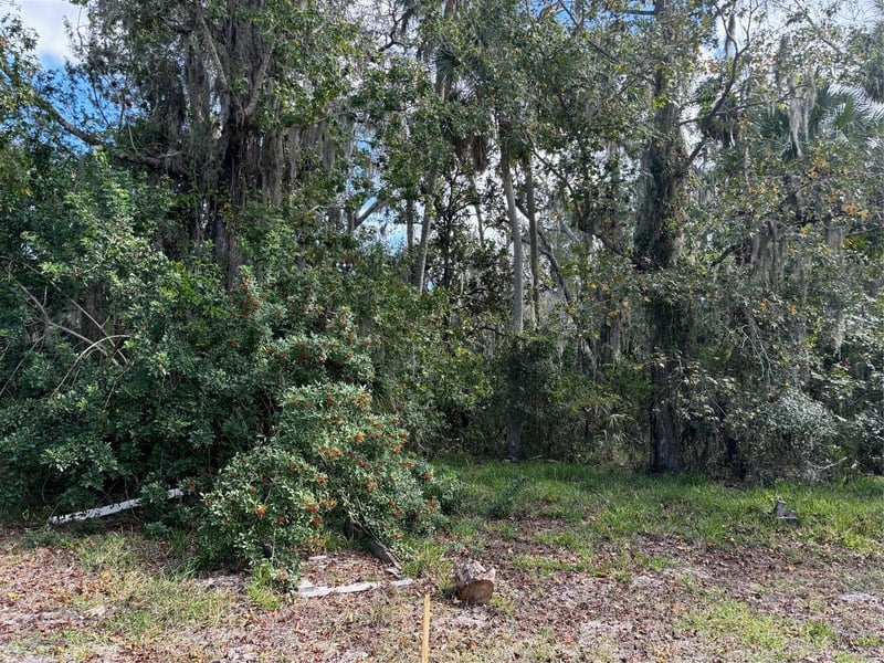 Kolb Pl, Hudson, FL 34667