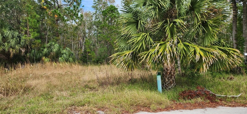 LOT 285 Cutlass Dr, Hudson, FL 34667