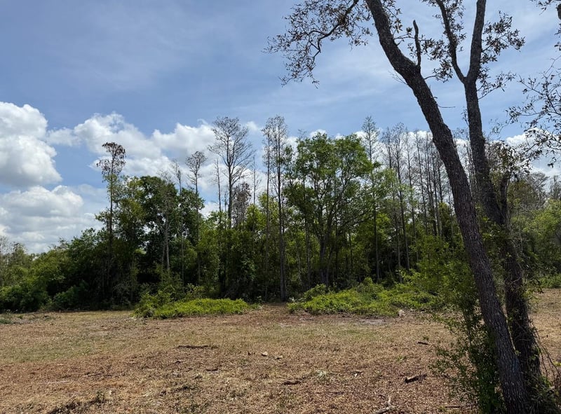 9906 Hilltop Dr, New Port Richey, FL 34654