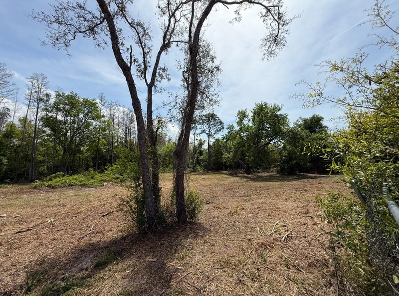 9906 Hilltop Dr, New Port Richey, FL 34654