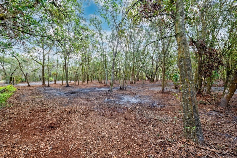 Justin Ln, Plant City, FL 33565