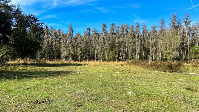 17301 Morris Bridge Rd, Thonotosassa, FL 33592