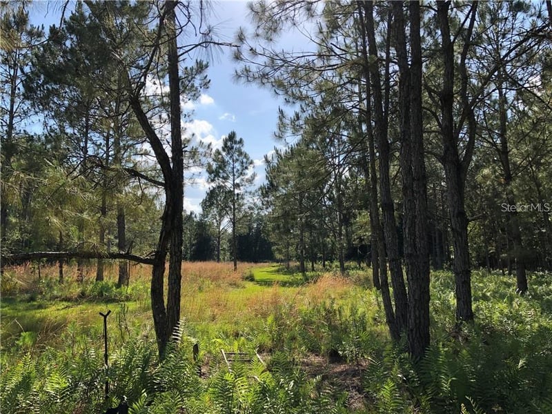 17301 Morris Bridge Rd, Thonotosassa, FL 33592