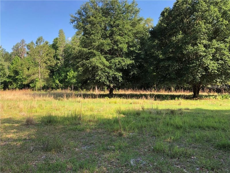 17301 Morris Bridge Rd, Thonotosassa, FL 33592
