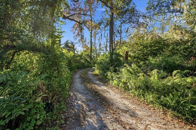 16921 Crawley Rd, Odessa, FL 33556