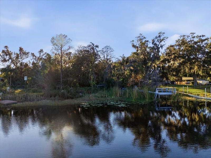 16921 Crawley Rd, Odessa, FL 33556