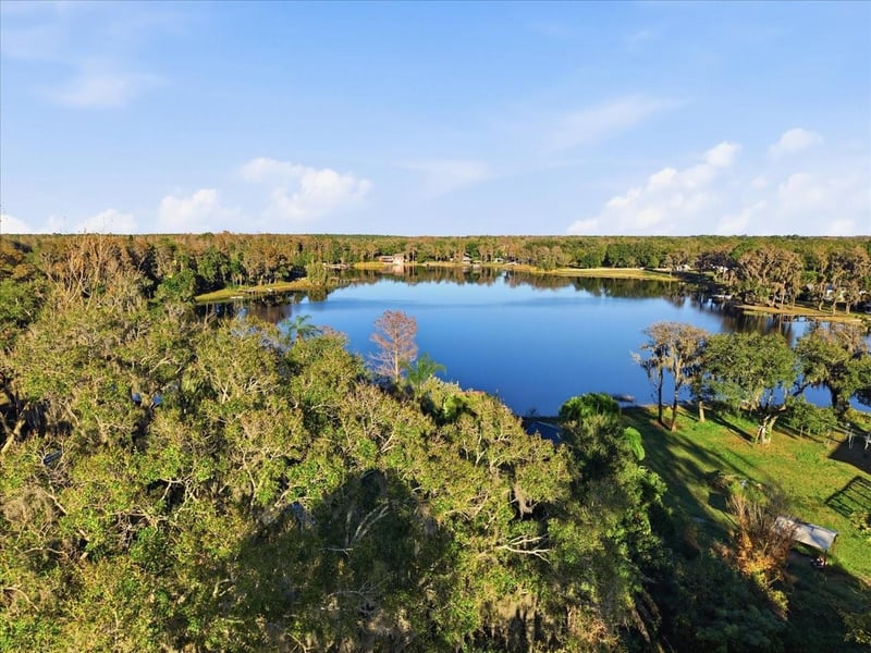 16921 Crawley Rd, Odessa, FL 33556