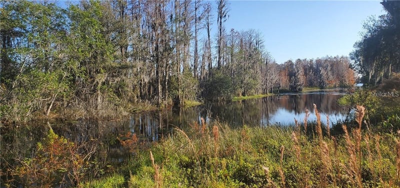 11124 Lake Shore Dr, Land O Lakes, FL 34637